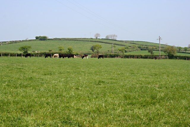 Pasture Land east of South Petherwin