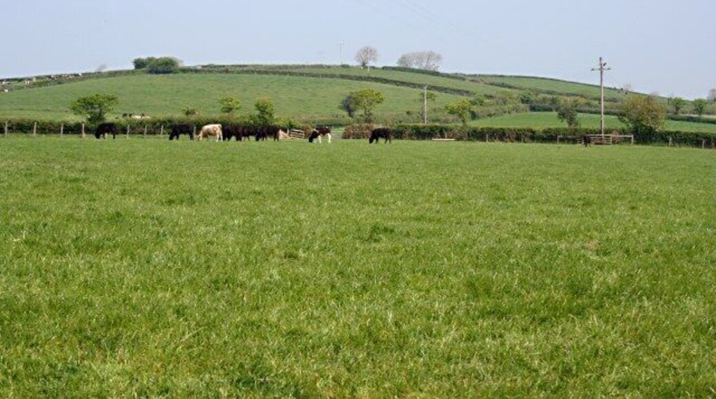 Pasture Land east of South Petherwin