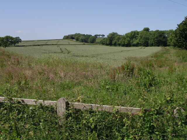 Field next to Leburnick Cross Looking roughly north from the junction across a wheatfield. The lane on the right through the trees goes from the cross to Launceston.