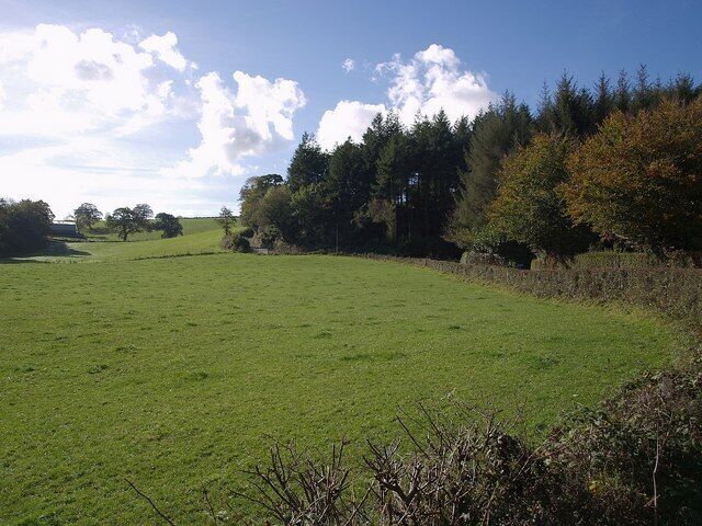 Newton Wood. The B3254 climbs away from 587804 past the edge of the wood and Trelaske Lodge (hidden). The barn on the left is at Trekelland Farm.