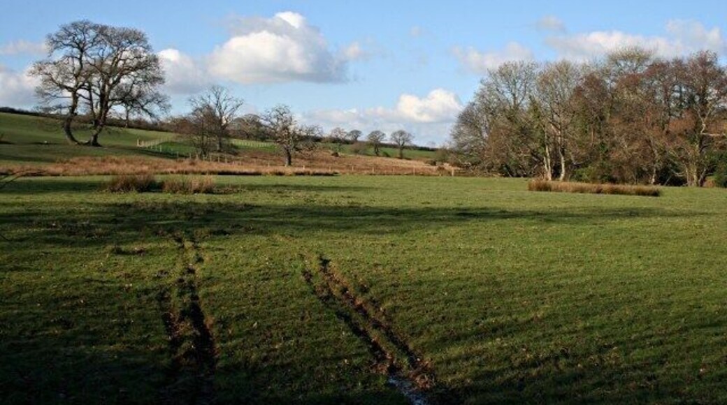 Valley Pasture In the valley of the River Kensey near Badharlick Bridge. The ruts made by the excursion of just one vehicle into the field attest to the amount of rain we have had this winter which has left these field soft and wet.