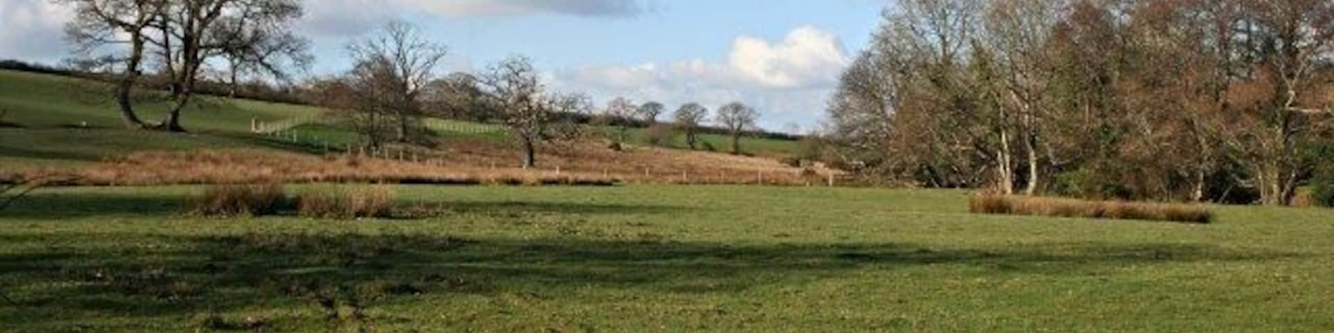 Valley Pasture In the valley of the River Kensey near Badharlick Bridge. The ruts made by the excursion of just one vehicle into the field attest to the amount of rain we have had this winter which has left these field soft and wet.