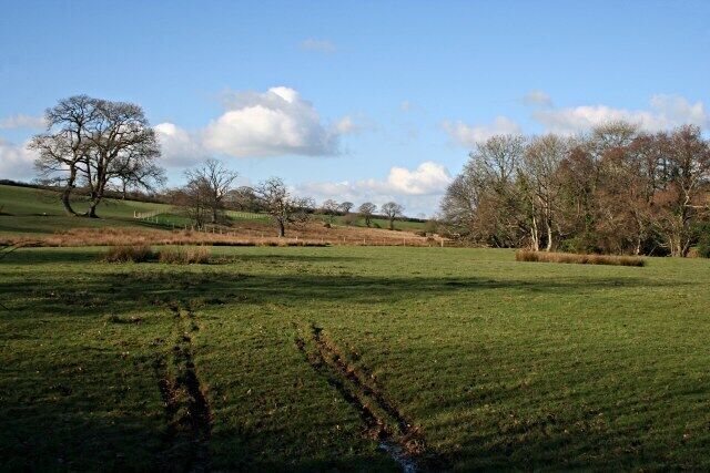 A grassy field with scattered trees and a clear sky.