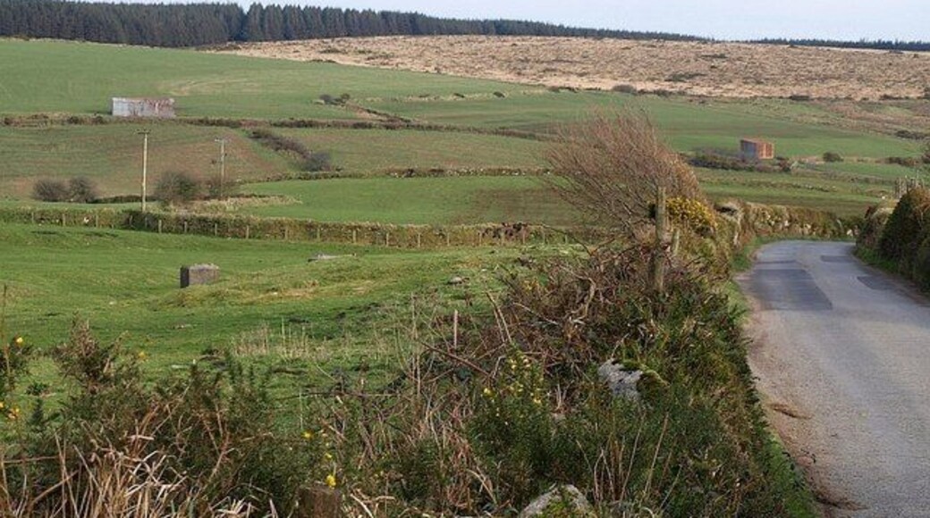 Fowey valley near St Luke's The lane past Dryworks descends towards the valley - it will later run right beside the river for several kilometres. Old field boundaries are on the lower slopes. The left-hand of the corrugated iron barns on the far side is a metre into SX2076. Above it are conifer woods on Smith's Moor.