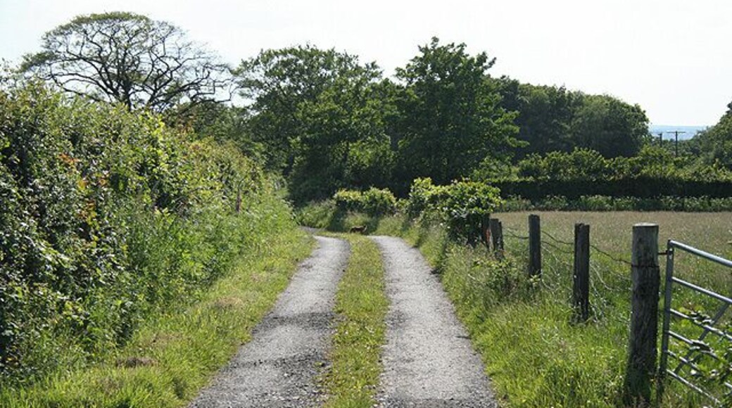 Werrington: entrance to Kennacott Farm Looking west-south-west with a fox standing on the track. Kennacott now provides holiday cottages to let throughout the year