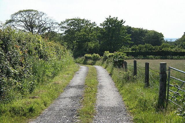 A gravel path flanked by greenery and wooden posts.