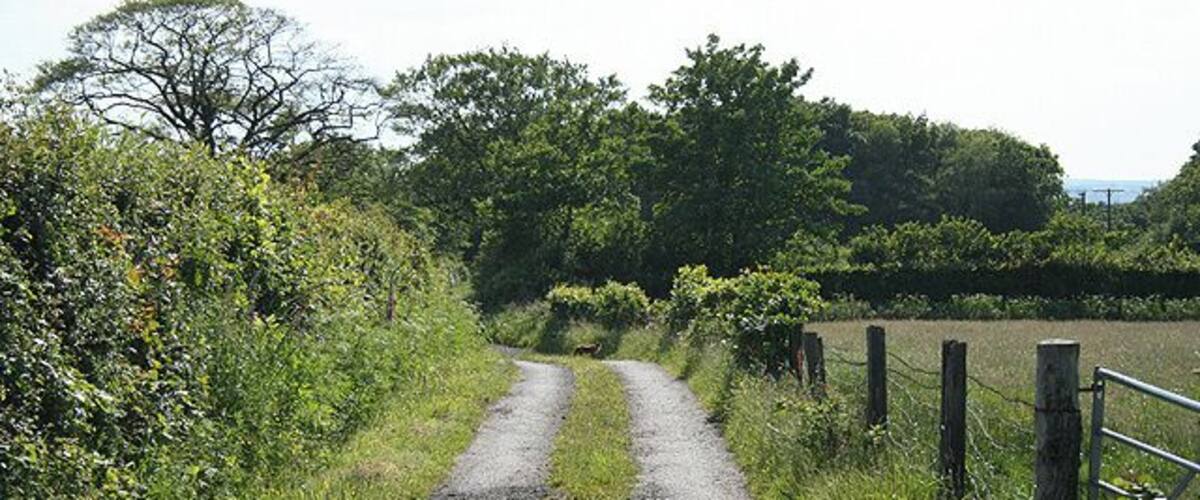 A gravel path flanked by greenery and wooden posts.
