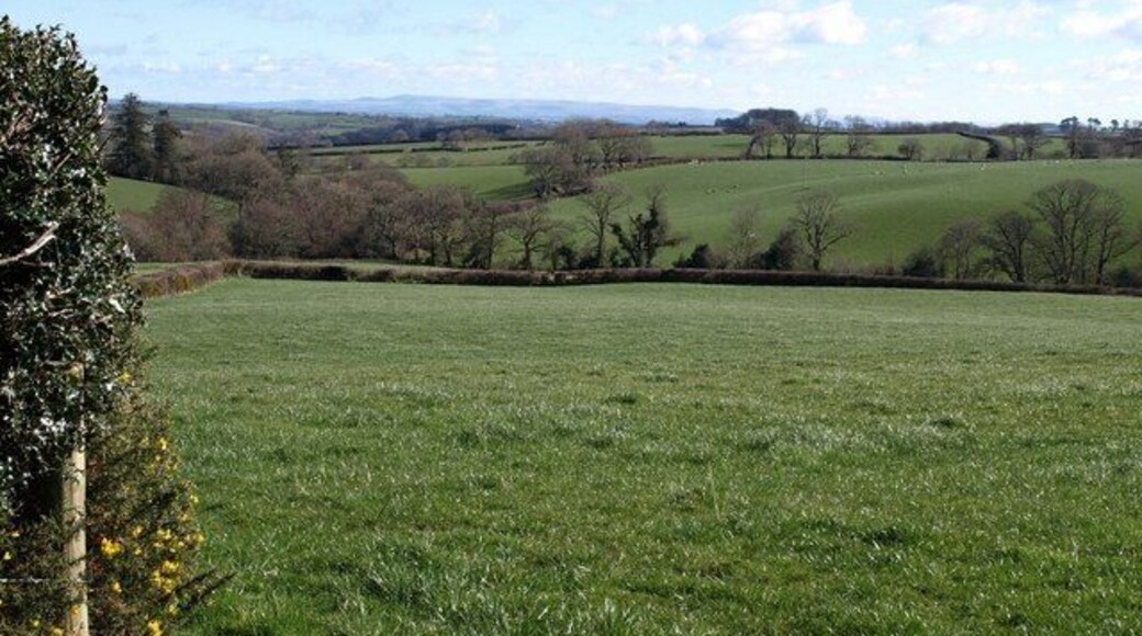 Valley near Trehummer Looking from the lane above Dunnaquarry across fields to the valley of a tributary of the River Ottery. The group of trees in the centre on the far side of it are along the lane between Treburtle and Trehummer.