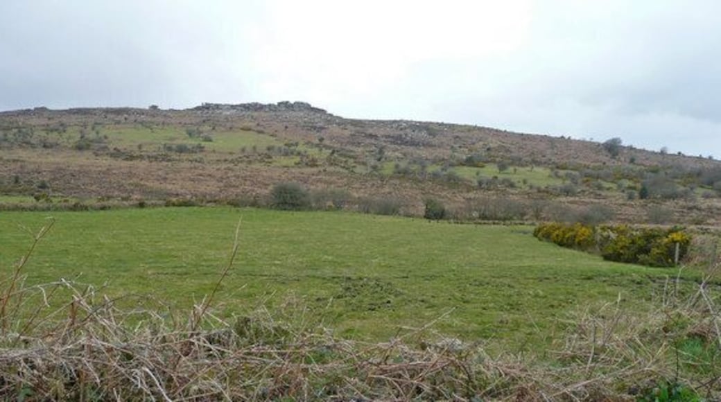 View towards Hawk's Tor In square in the foreground is a piece of high pasture.