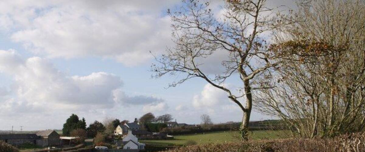 A rural landscape with a winding road, a white house, and a leafless tree.