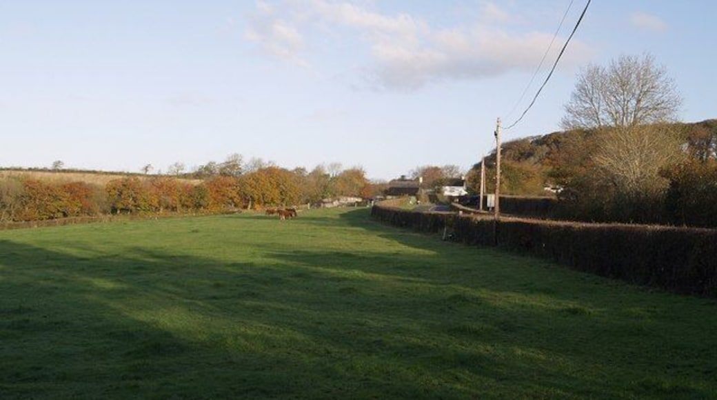 Near Carey Barton The A388 winds between hedges on its way from St Giles in the Heath to Chapmans Well.