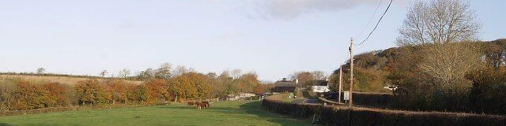 Near Carey Barton The A388 winds between hedges on its way from St Giles in the Heath to Chapmans Well.