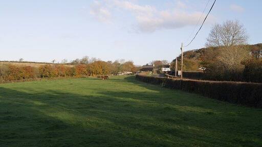 Near Carey Barton The A388 winds between hedges on its way from St Giles in the Heath to Chapmans Well.