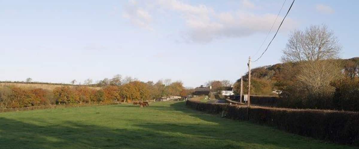 A rural landscape with a green field, a stone wall, and trees with autumn foliage.