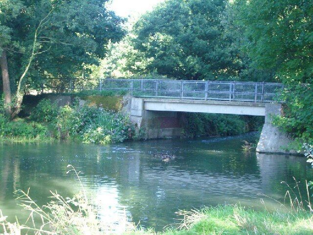 A concrete bridge over a calm river, surrounded by lush greenery.