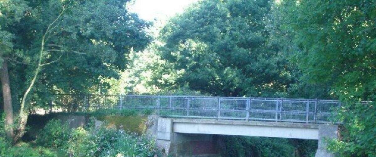 A concrete bridge over a calm river, surrounded by lush greenery.
