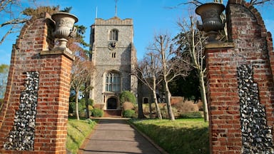 Leatherhead
