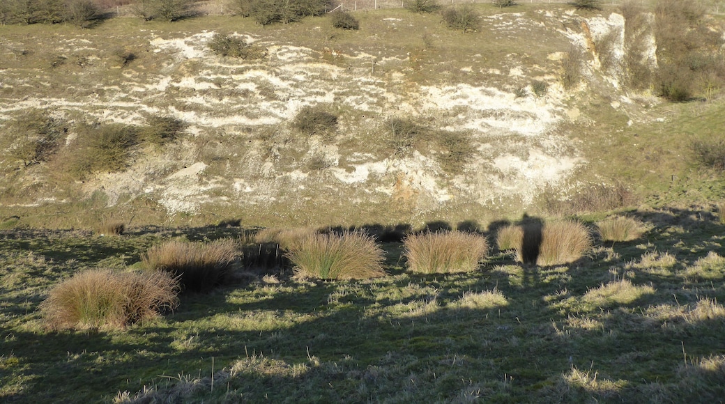 Lenham Quarry is a geological Site of Special Scientific Interest east of Lenham in Kent.