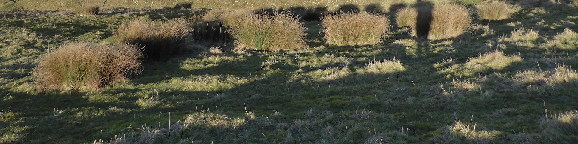 Lenham Quarry is a geological Site of Special Scientific Interest east of Lenham in Kent.
