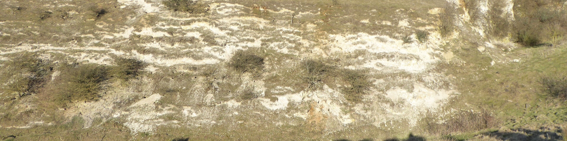 Lenham Quarry is a geological Site of Special Scientific Interest east of Lenham in Kent.