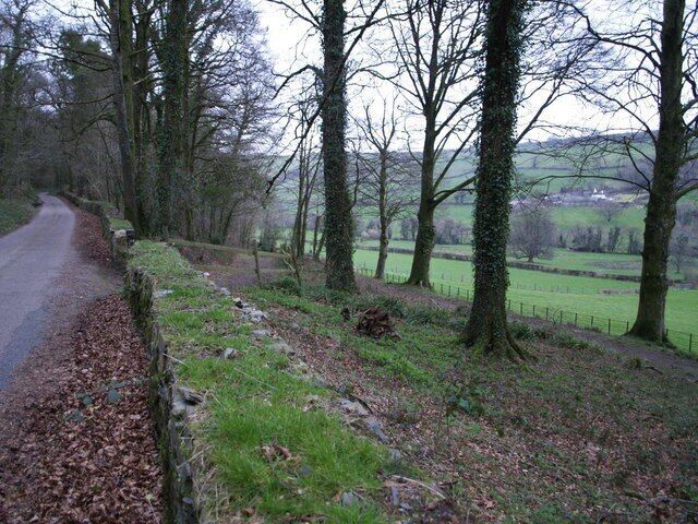 Lane through Barton Wood The lane leads along the side of the Lew valley, on the right, from Lewtrenchard towards Lew Mill. On the far sie of the valley is Wooda Farm. A very gloomy evening.