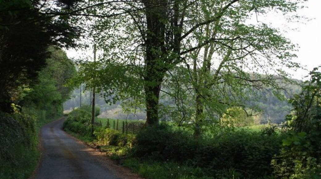 Lane to Lewquarry Farm. This is a no through road leading off 422424, and winding round a hill towards the River Lew.