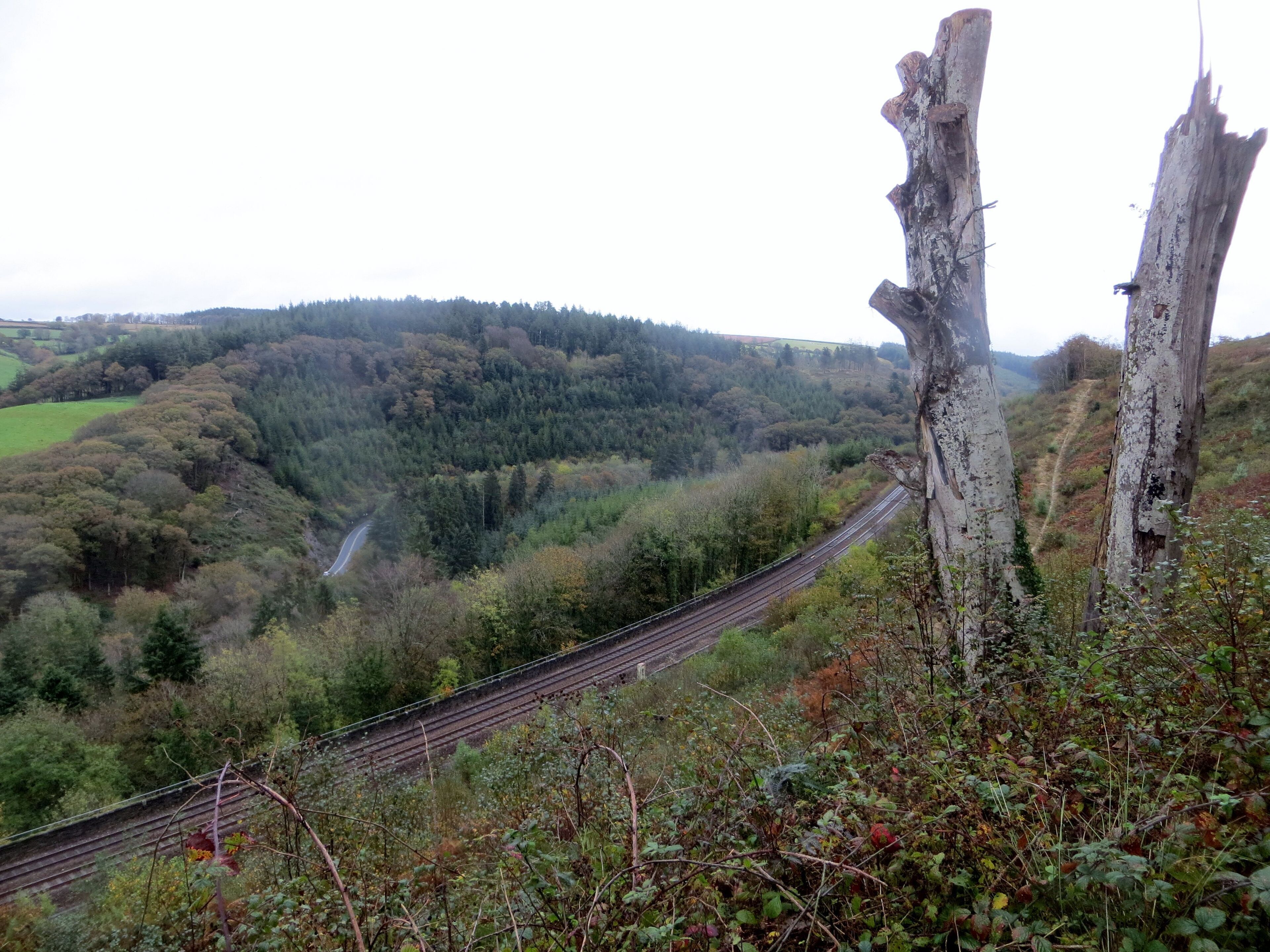 Largin Woods - October 2014