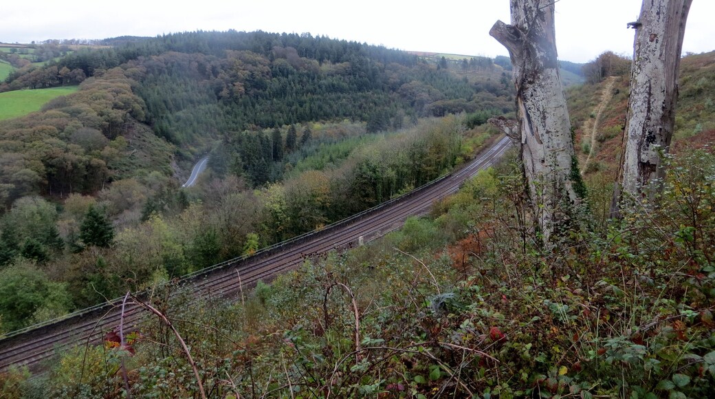 Largin Woods - October 2014