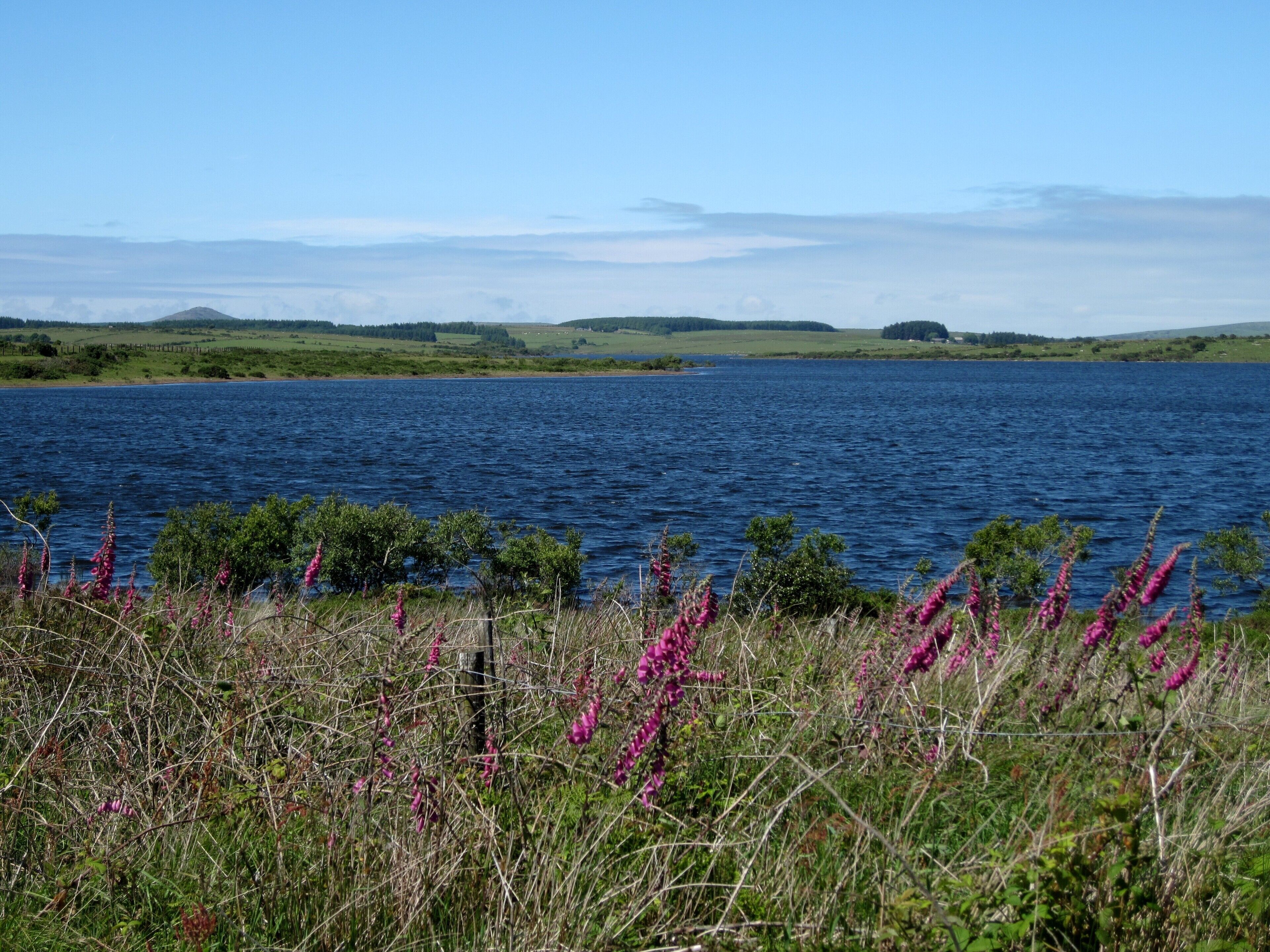 Colliford Lake, Stausee im Bodmin Moor in Cornwall, England