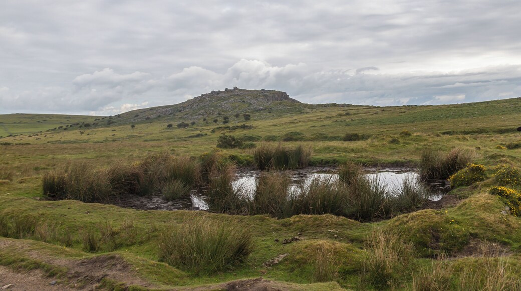 Bodmin Moor, Cornwall. View to Stowe's Hill