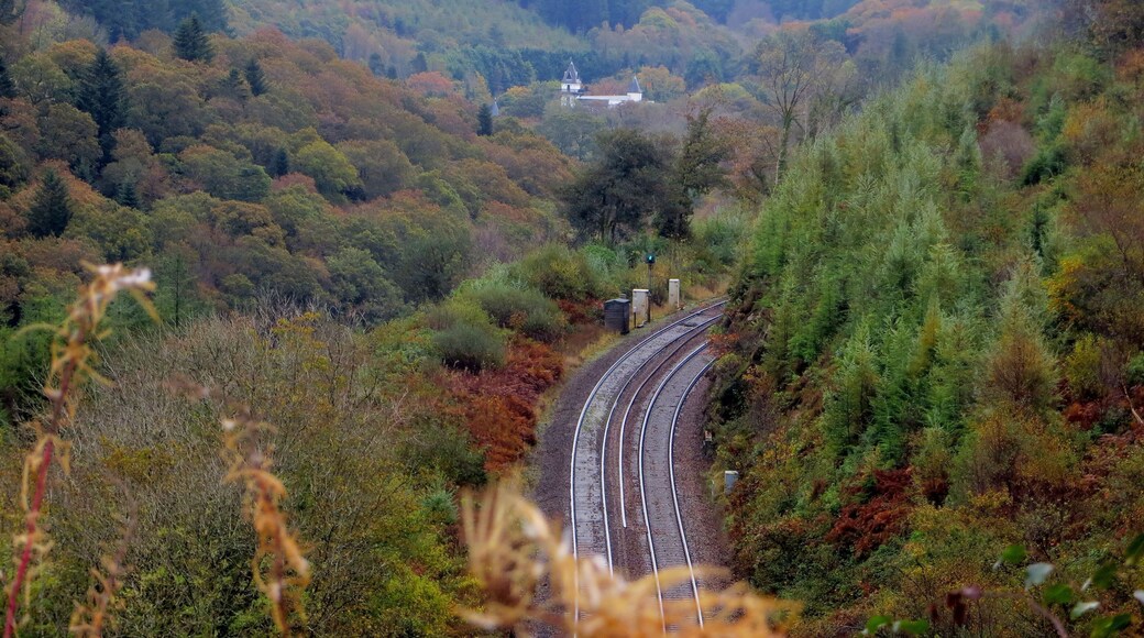 The railway running through Largin Woods - October 2014