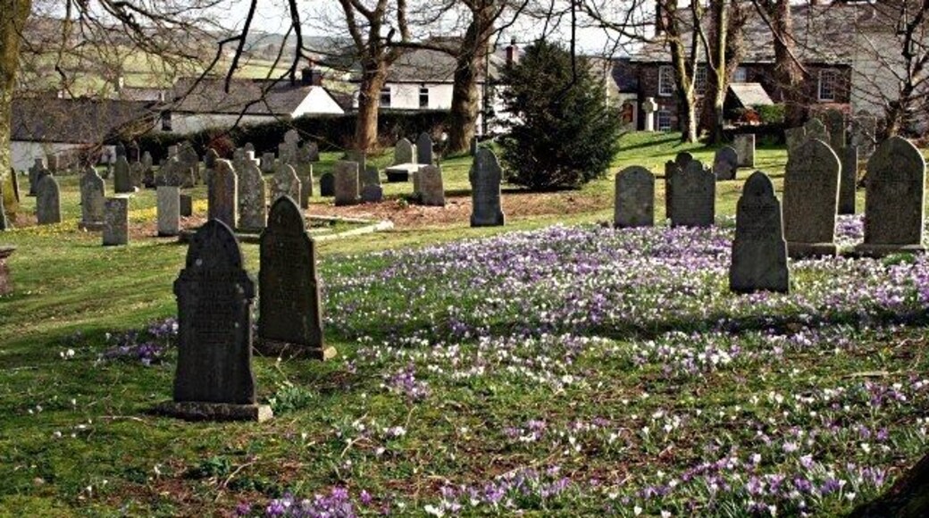 Churchyard with Crocusus The churchyard of St Cleer church in the Spring.