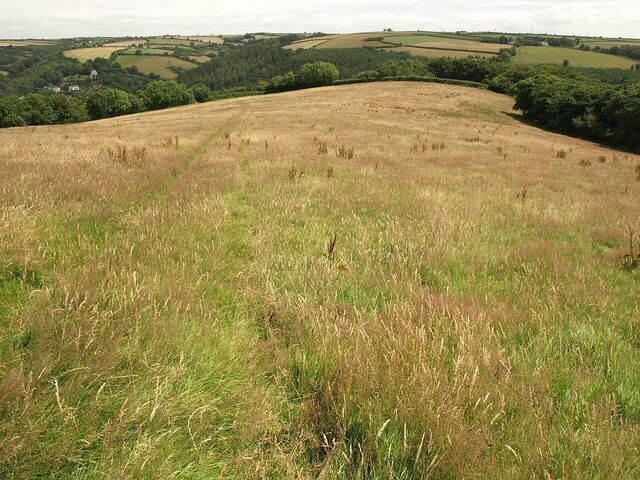 Meadow above Herodsfoot This fine meadow sloping towards the West Looe valley is crossed by bridleway 611/17/2.