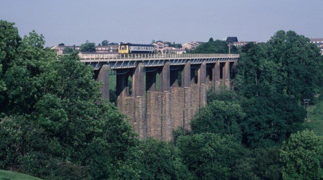 Liskeard viaduct summer morning