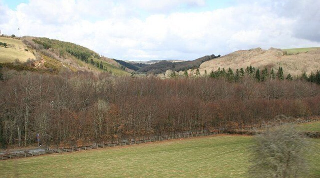 Glynn Valley at its junction with the Warleggan River Valley. The Glynn Valley is steep sided section of the River Fowey valley running east to west. This photograph, taken from a train, looks north across the valley and up the valley of the Warleggen River.