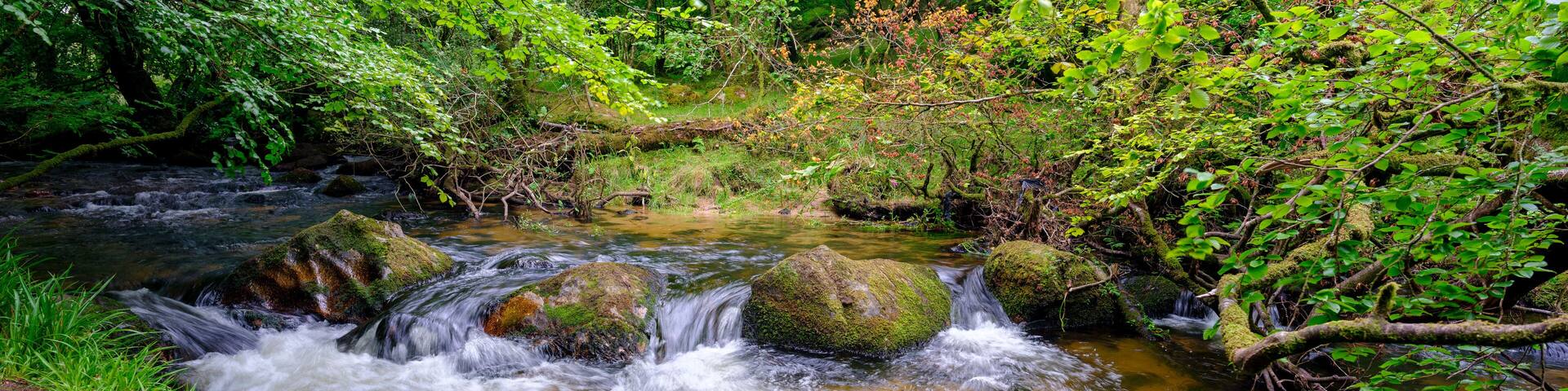 Golitha Falls on the River Fowey on Bodmin Moor near Liskeard, Cornwall