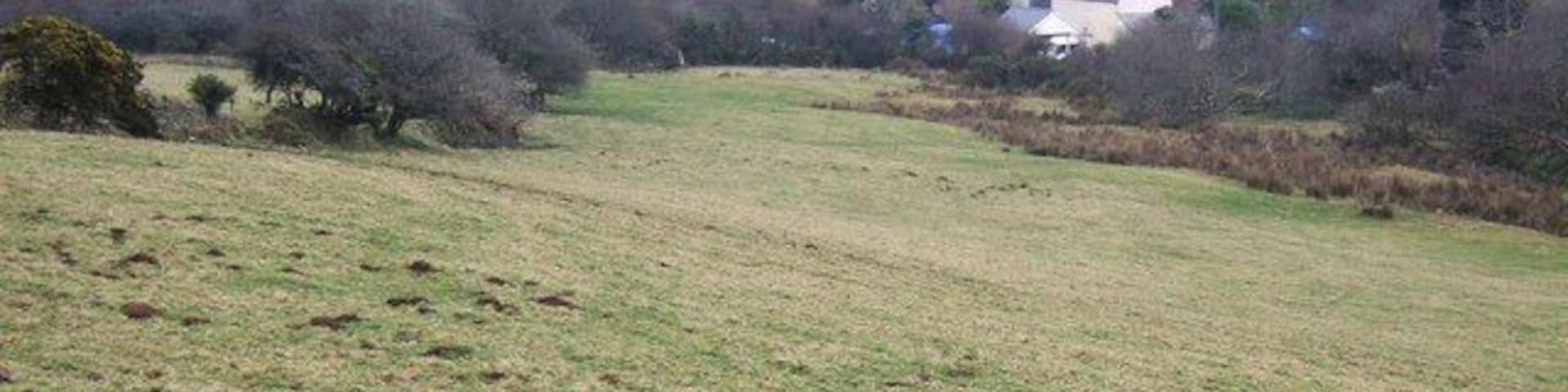 Common Moor The small village lies in the valley of a tributary of the River Fowey on the southeastern edge of Bodmin Moor, and straddles a gridline - the further buildings are in SX2469. Taken from near South Trekeive on the lane to Siblyback Lake.