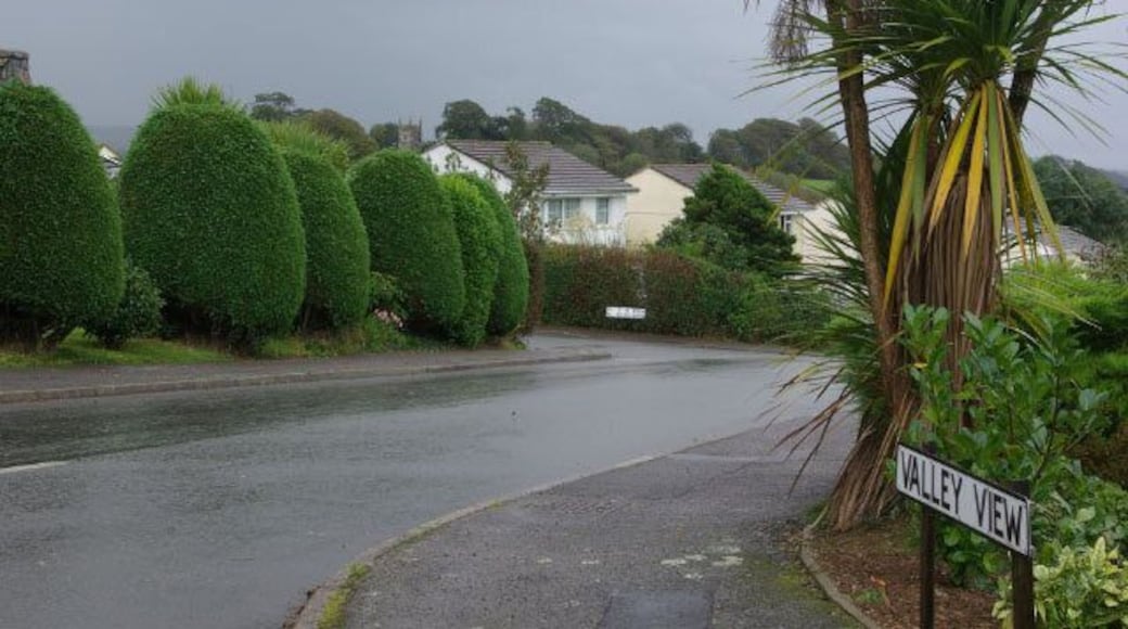 Valley View, St Keyne Modern housing development in St Keyne village; the church tower can be seen in the background.