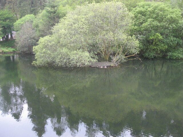 Mill Pond with Island The feed water pond for the old gunpowder mill at Deerpark with a small island now much appreciated by waterfowl who can spend the night undaunted by foxes.