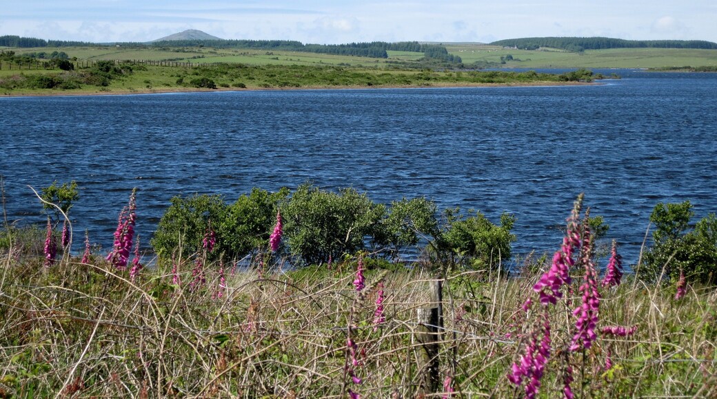 Colliford Lake, Stausee im Bodmin Moor in Cornwall, England