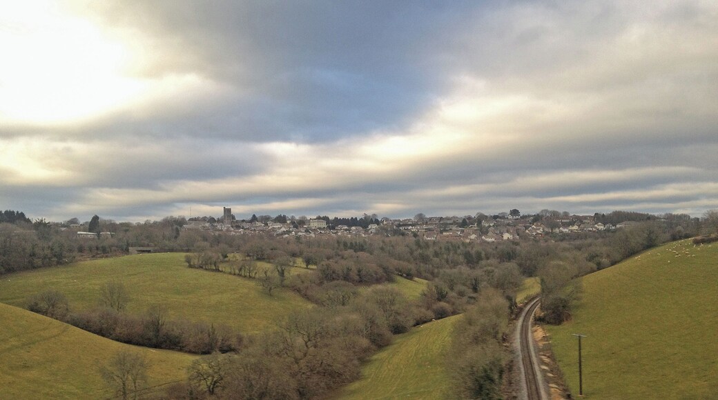 from the window of a train