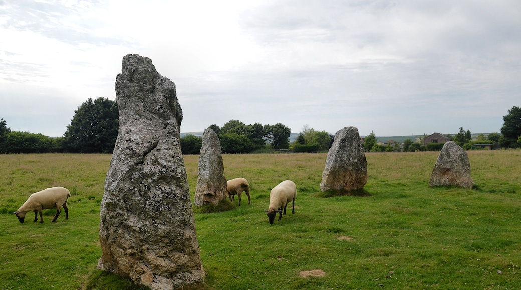 Small stone circle at Duloe, 150m south east of Stonetown Farm Wikidata has entry Q17644283 with data related to this item.