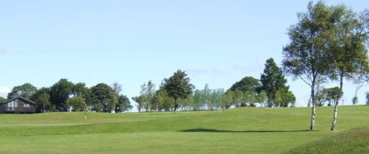 A grassy field with a few trees and a building in the distance.