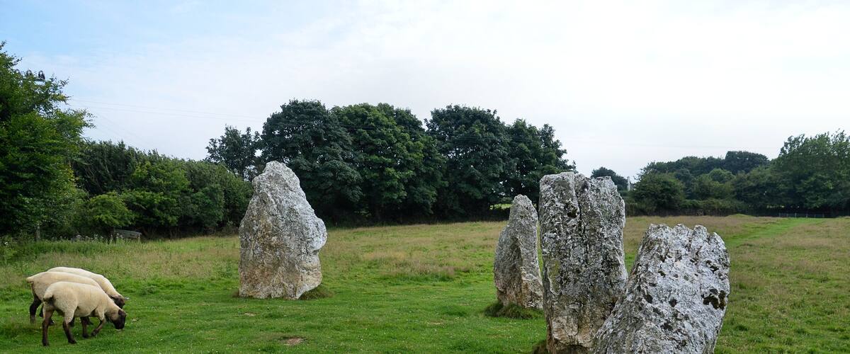 A grassy field with large standing stones and sheep grazing.