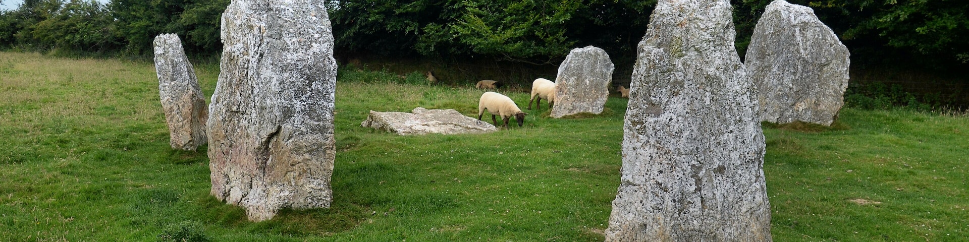 Un campo cubierto de hierba con varias piedras grandes y ovejas pastando al fondo.