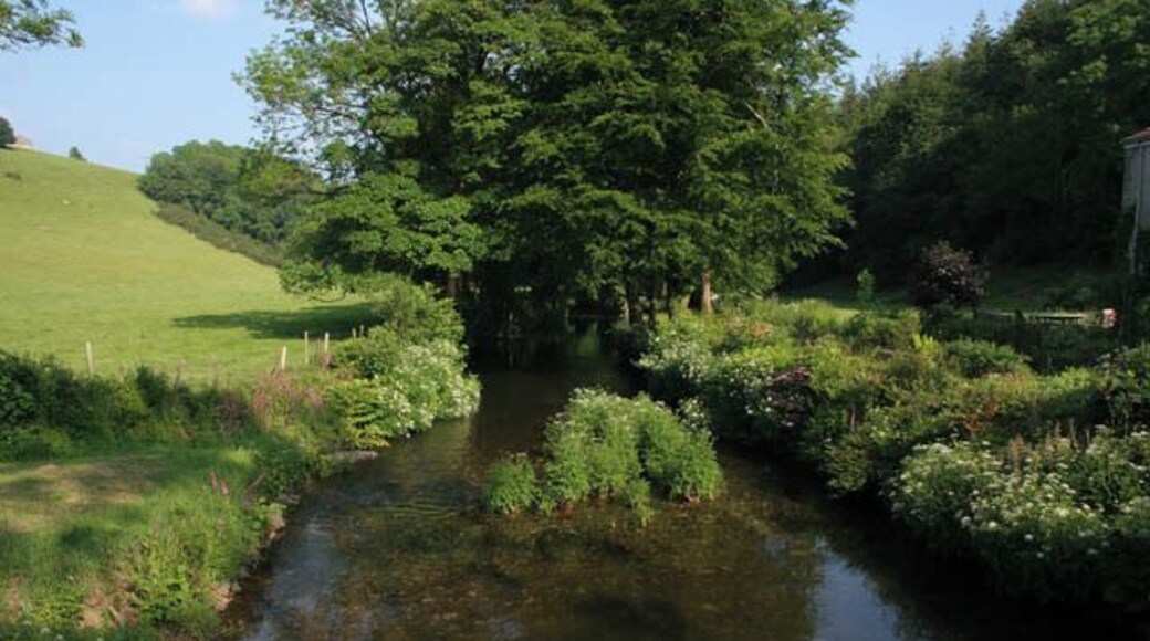 The River Lynher at Bicton Mill The Lynher is a small river flowing off Bodmin Moor and through beautiful wooded valleys. It eventually flows into the Tamar estuary at SX4257. The rising ground on the left and the river up to the large tree are in the featured square. The woodland on the right, Bicton Wood, and the line of trees at the edge of the field on the hill are in SX3269.