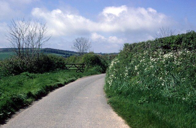 Spring Flowers on the way to Herodsfoot
