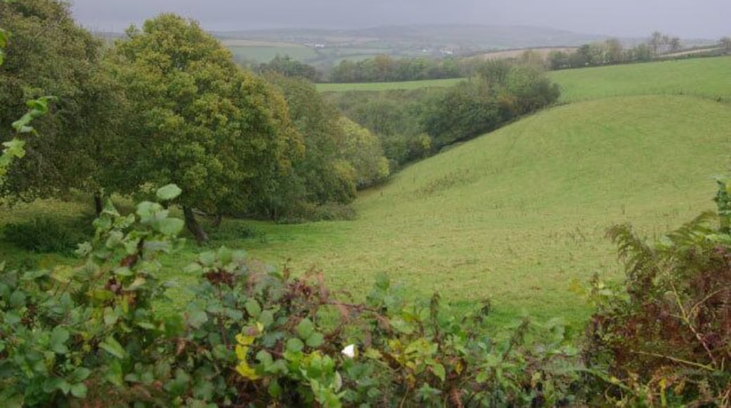 Looe Valley from St Keyne. Looking down into the valley of the East Looe River from the B3254 just north of St Keyne village. Rain clouds are slowly disappearing to the east heralding a slight brightening of the weather following a very dull and wet morning.