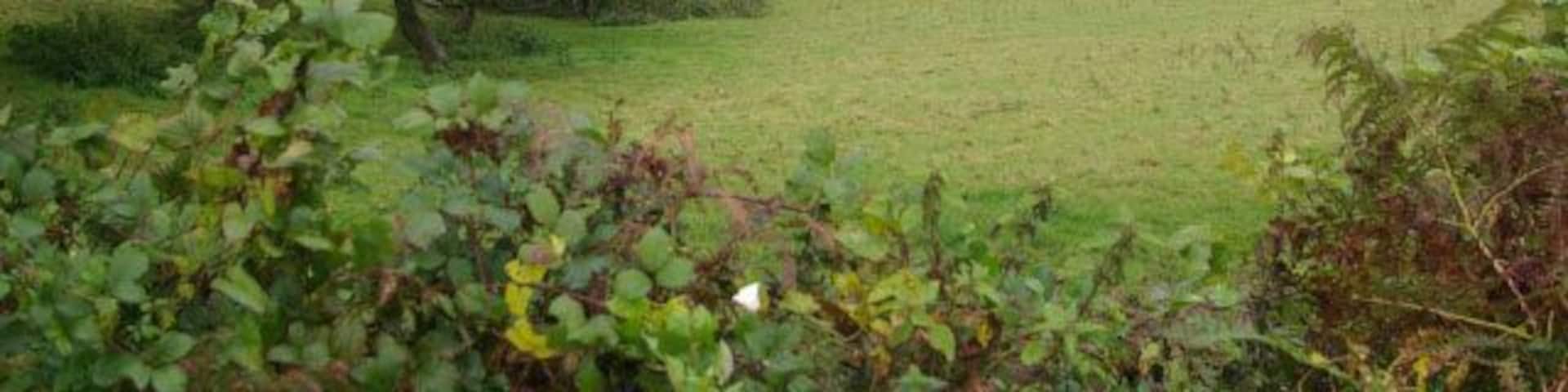 Looe Valley from St Keyne. Looking down into the valley of the East Looe River from the B3254 just north of St Keyne village. Rain clouds are slowly disappearing to the east heralding a slight brightening of the weather following a very dull and wet morning.