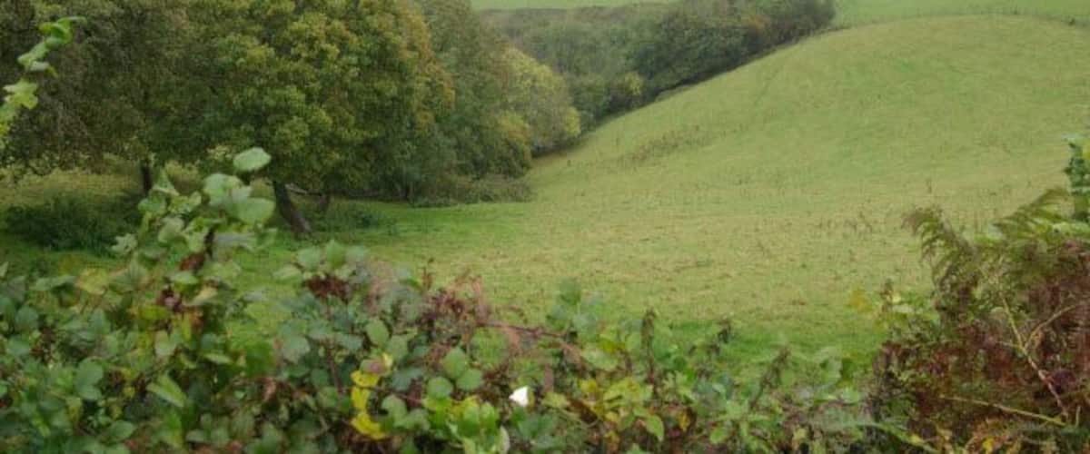 Rolling green hills, dense trees, and a distant view of a valley.